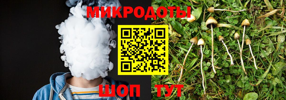 Псилоцибиновые грибы Psilocybe  Вход с VPN  Аксай 
